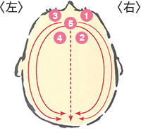 頭の5ラインを確認