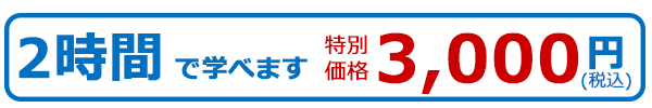 2時間で学べます3000円